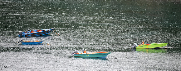 RoseauDominica20260404_1572