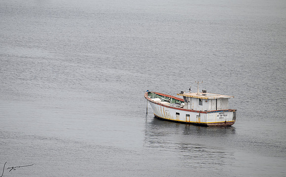 RoseauDominica20260404_1955