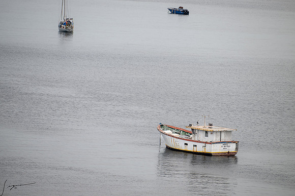 RoseauDominica20260404_1962