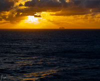 20260410 Sea Day