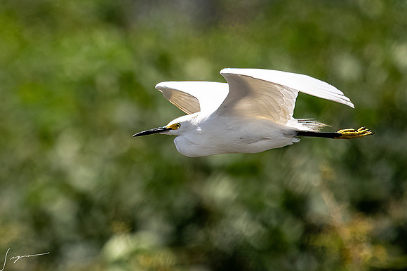 PuntarenasCostaRica20260417_1460-Edit