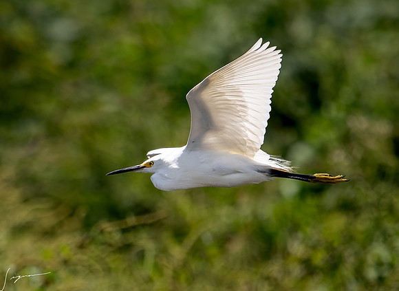 PuntarenasCostaRica20260417_1464-Edit-Edit