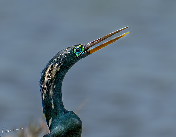PuntarenasCostaRica20260417_1955-Edit-Edit
