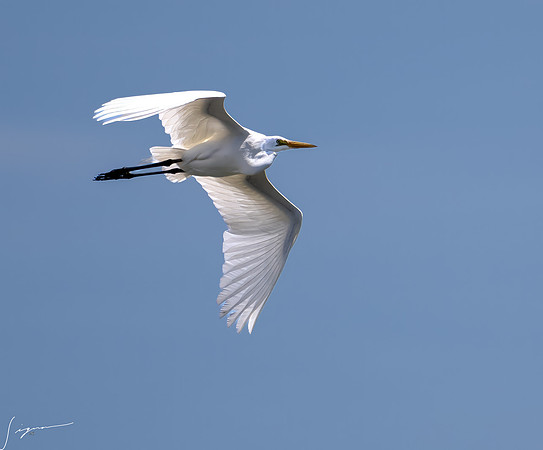 PuntarenasCostaRica20260417_2482-Edit-Edit