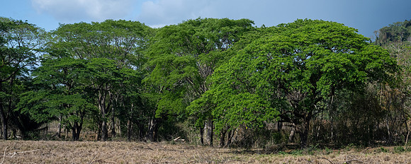PuntarenasCostaRica20260417_3667