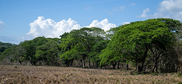 PuntarenasCostaRica20260417_3702