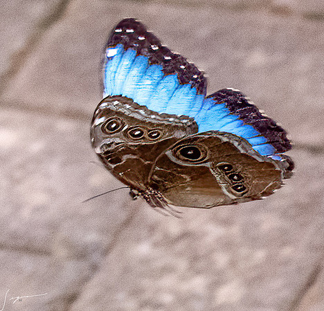 PuntarenasCostaRica20260417_0111-Edit