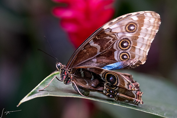 PuntarenasCostaRica20260417_0075-Edit