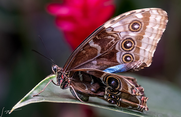 PuntarenasCostaRica20260417_0076-Edit