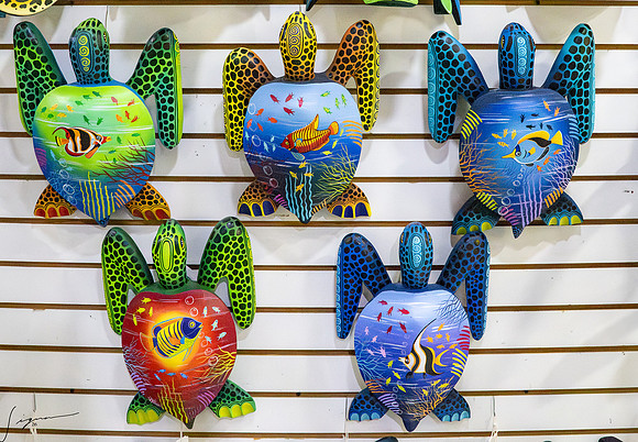 PuntarenasCostaRica20260417_0664
