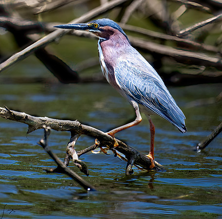 PuntarenasCostaRica20260417_0766-Edit