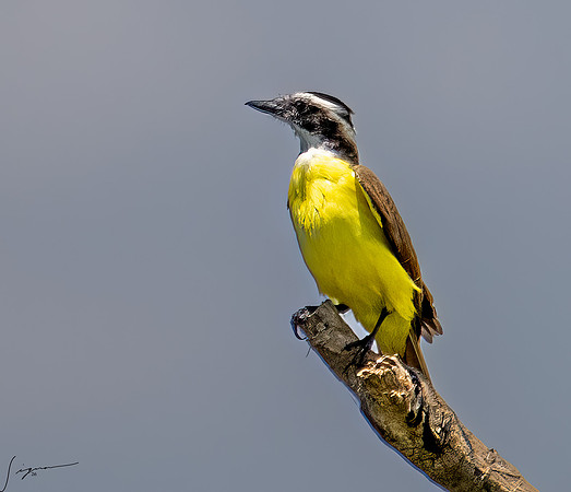 PuntarenasCostaRica20260417_0922-Edit-Edit