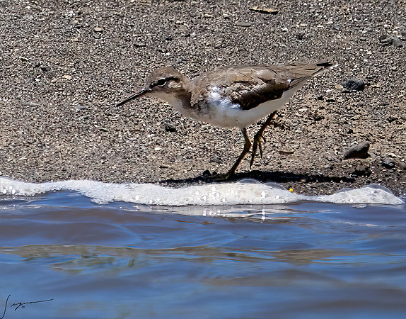 PuntarenasCostaRica20260417_0960-Edit-Edit