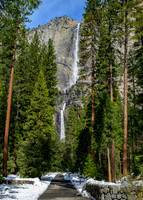 Yosemite 20260223