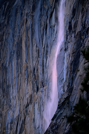 Yosemite20260225_0819