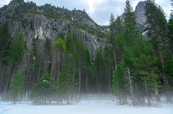 Yosemite20260225_0295