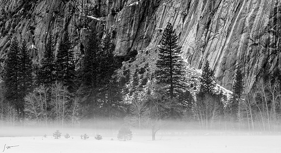 Yosemite20260225_0234-Edit
