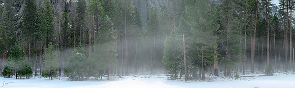 Yosemite20260225_0173-Pano