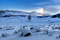 Yellowstone 2017