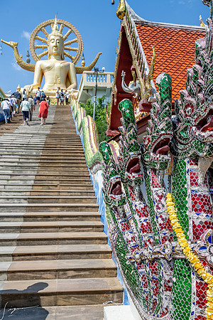 20250203KohSamuiThailand_0295
