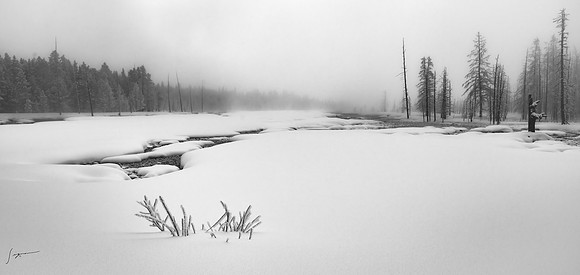 Yellowstone_20230117_0361-Edit-Edit