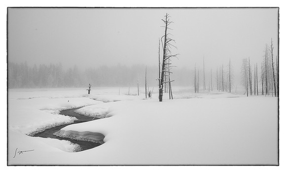 Yellowstone_20230117_0452-Edit-2-Edit