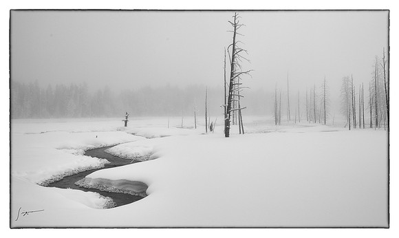 Yellowstone_20230117_0452-Edit-Edit