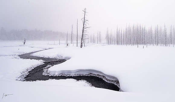 Yellowstone_20230117_0385-Edit