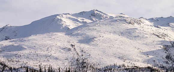 WisemanAK_20230307_0271