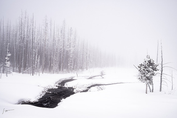 Yellowstone_20230117_0510