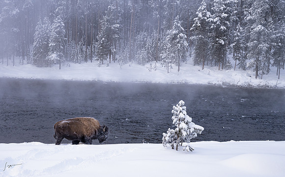 Yellowstone_20230117_0047-Edit