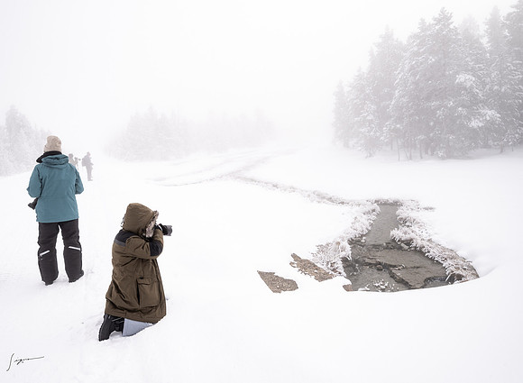 Yellowstone_20230117_0569