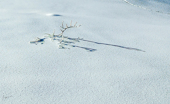 20230118_112057-Edit