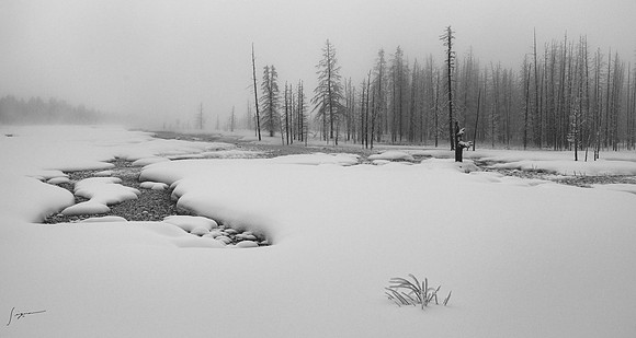 Yellowstone_20230117_0331-Edit-3