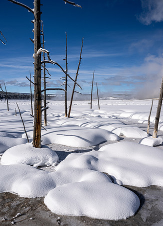 Yellowstone_20230117_1169