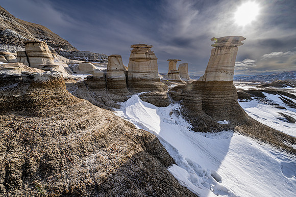 SnowyOwlsAlberta_20230208_0414-HDR