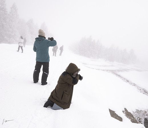 Yellowstone_20230117_0563