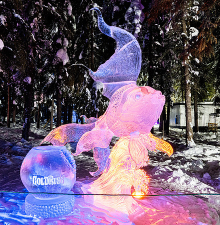 Fairbanks20230305_20230305_0415