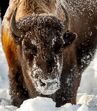 _DSC1461_0103-Edit