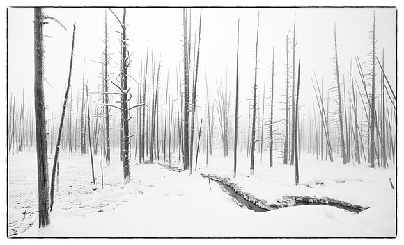 Yellowstone_20230117_0428-Edit-Edit-2-3
