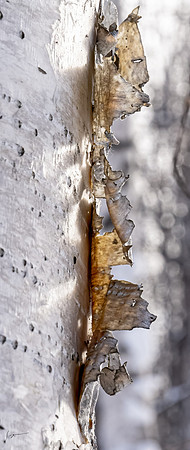 20230305_0192-Edit
