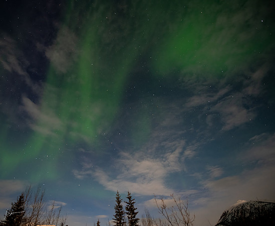 WisemanAK_20230309_0019-Edit-2