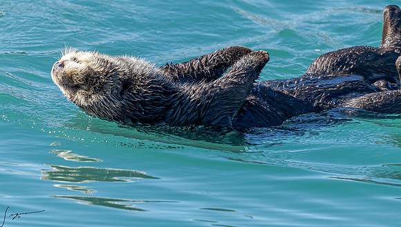 MorroBay20200127_0440