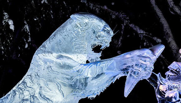 Fairbanks20230305_20230305_0419