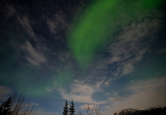 WisemanAK_20230309_0022-Edit
