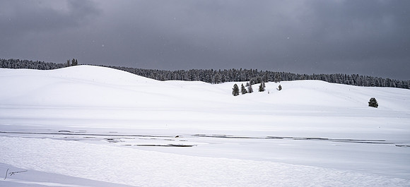 _Z9A0349_0511-Edit