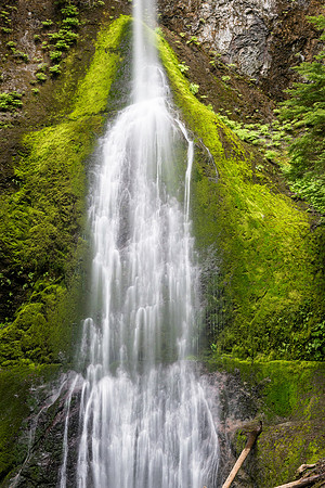 Marymere Falls WA