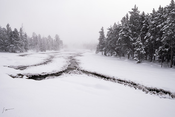 Yellowstone_20230117_0529