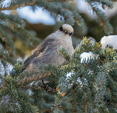 WisemanAK_20230307_0764-Edit