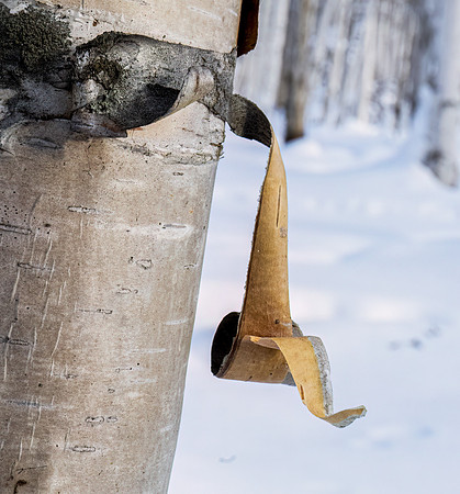 20230305_0140-Edit